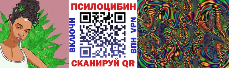 Псилоцибиновые грибы Psilocybe  Шлиссельбург 